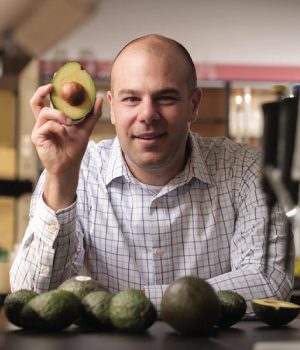 Avocados may offer a better leukemia treatment