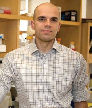Researcher confirms nutrient’s role in childhood leukemia